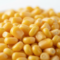 Yellow Corn / Maize